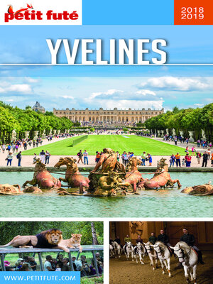 cover image of YVELINES 2019 Petit Futé